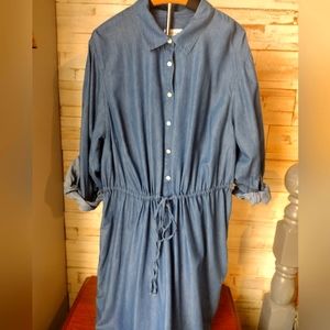 Calvin Klein chambray dress plus size